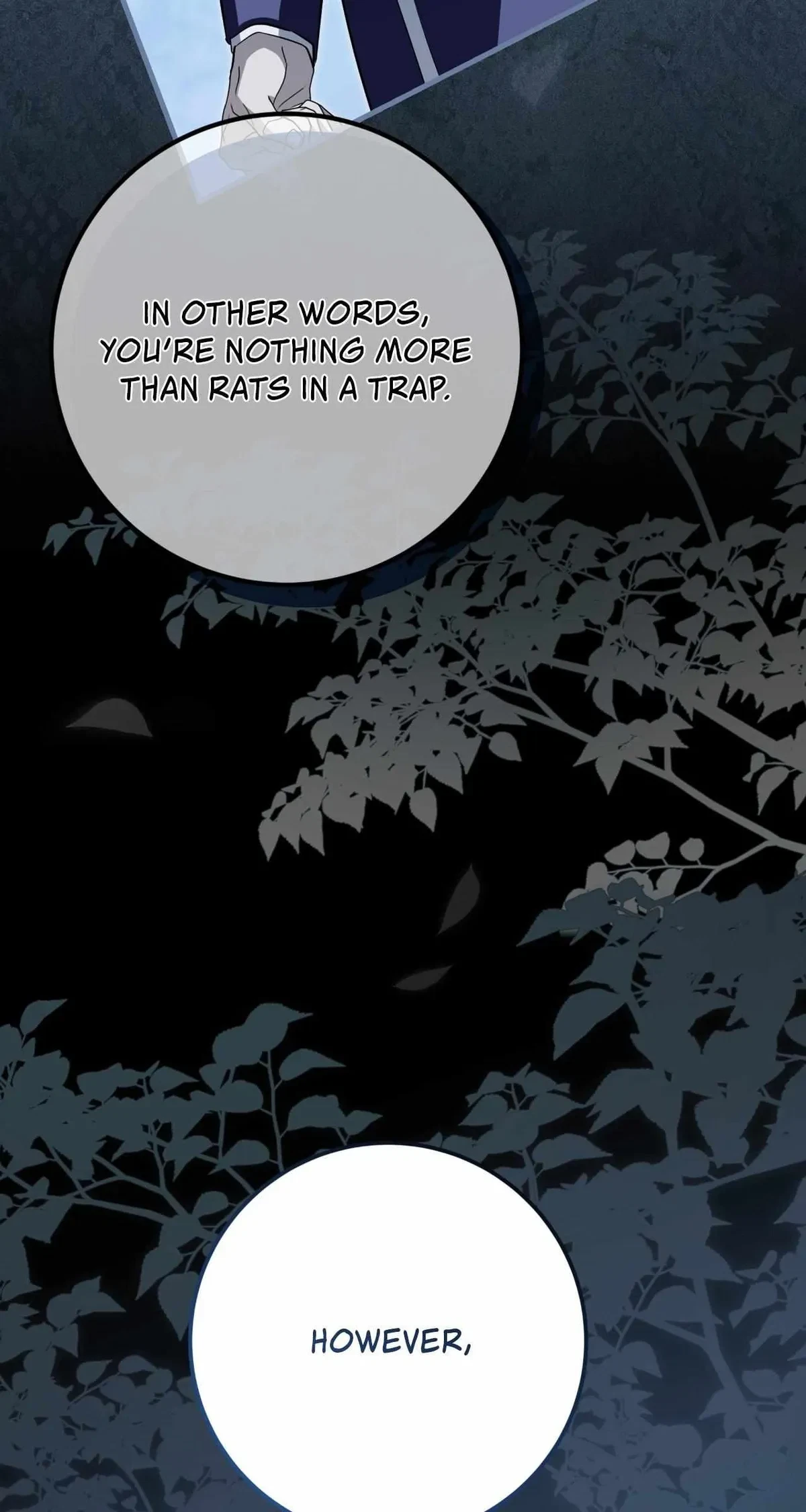 Chapter 25.05, page 17