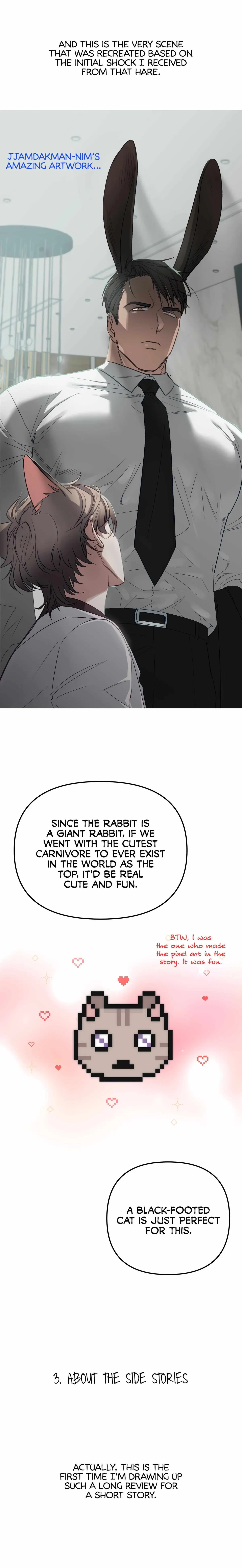 Rabbits Ejaculate In 3 Seconds Afterword. : Author's Review, page 13