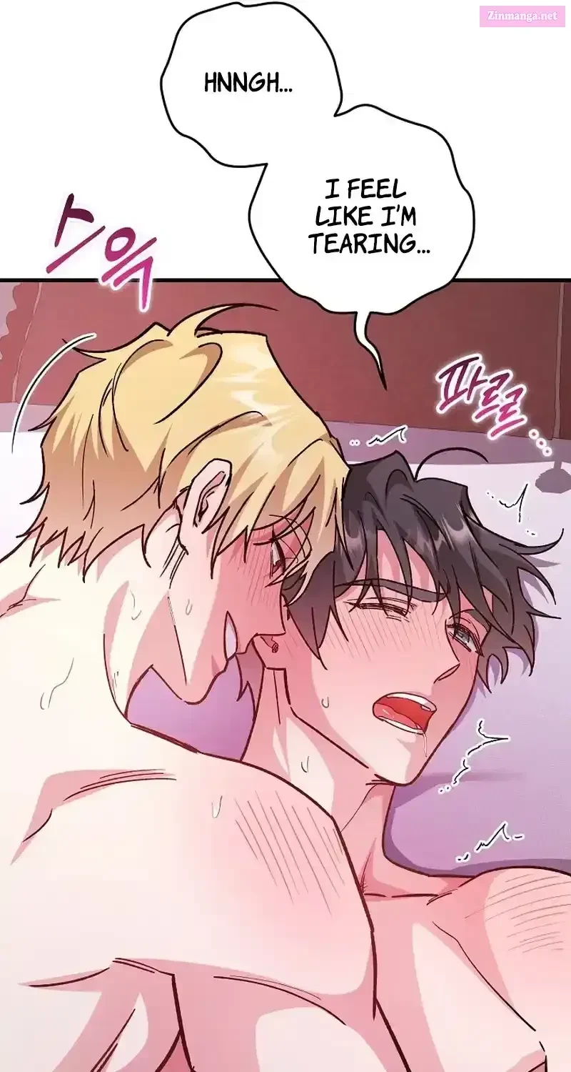 Chapter 2, page 64