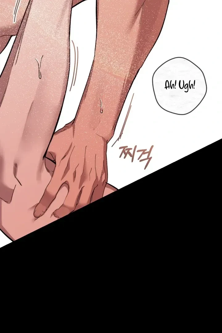 Chapter 4, page 66