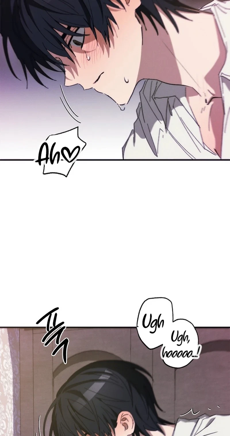 Chapter 5, page 66