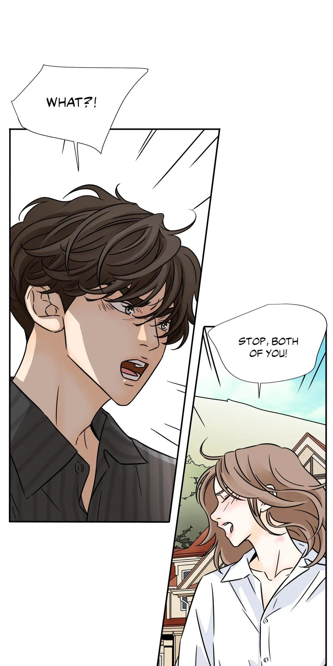 Chapter 95, page 20