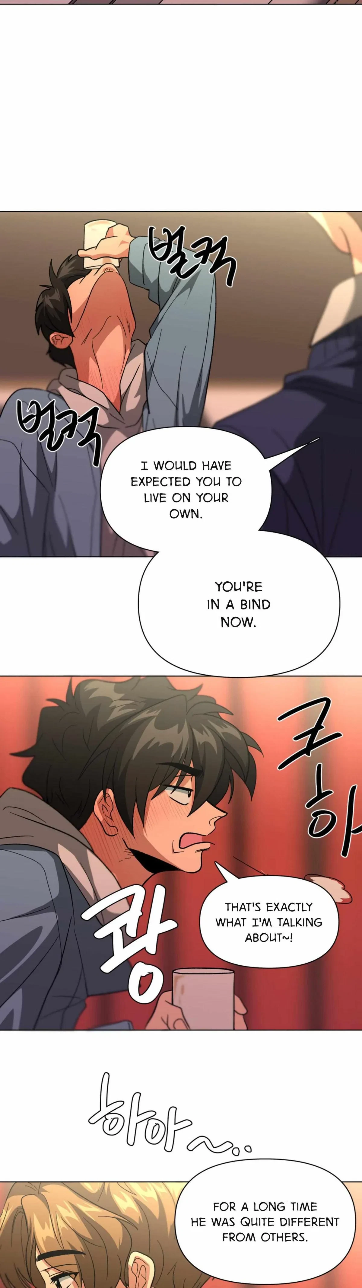 Chapter 4, page 29