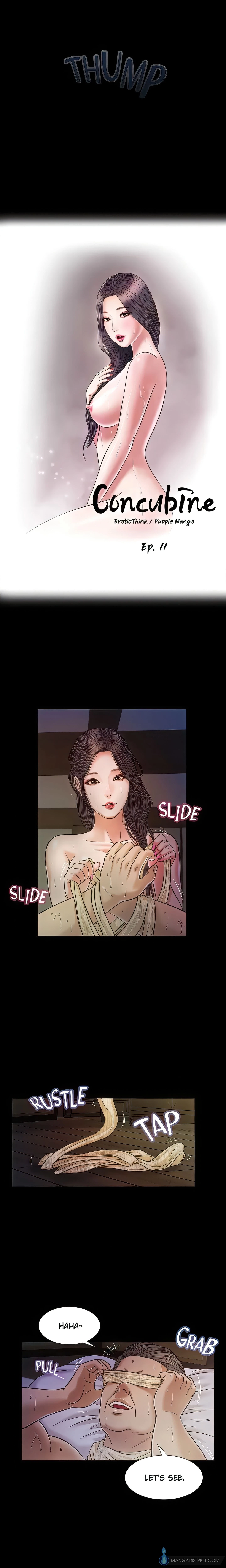 Concubine Chapter 11 (Uncensored), page 2