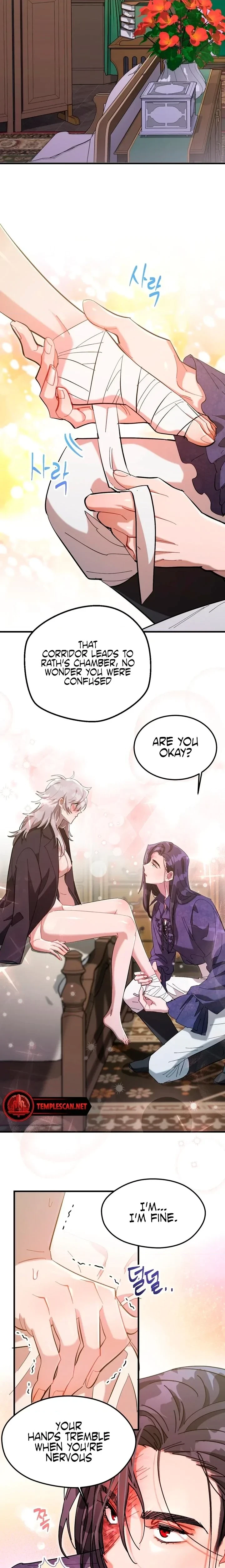 Chapter 3, page 17