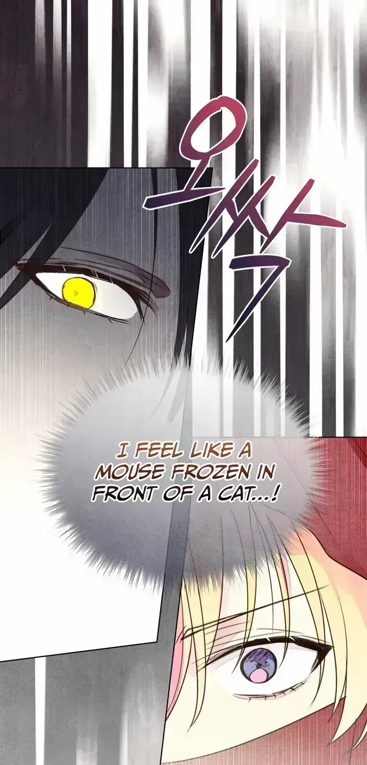 Chapter 2.5, page 7