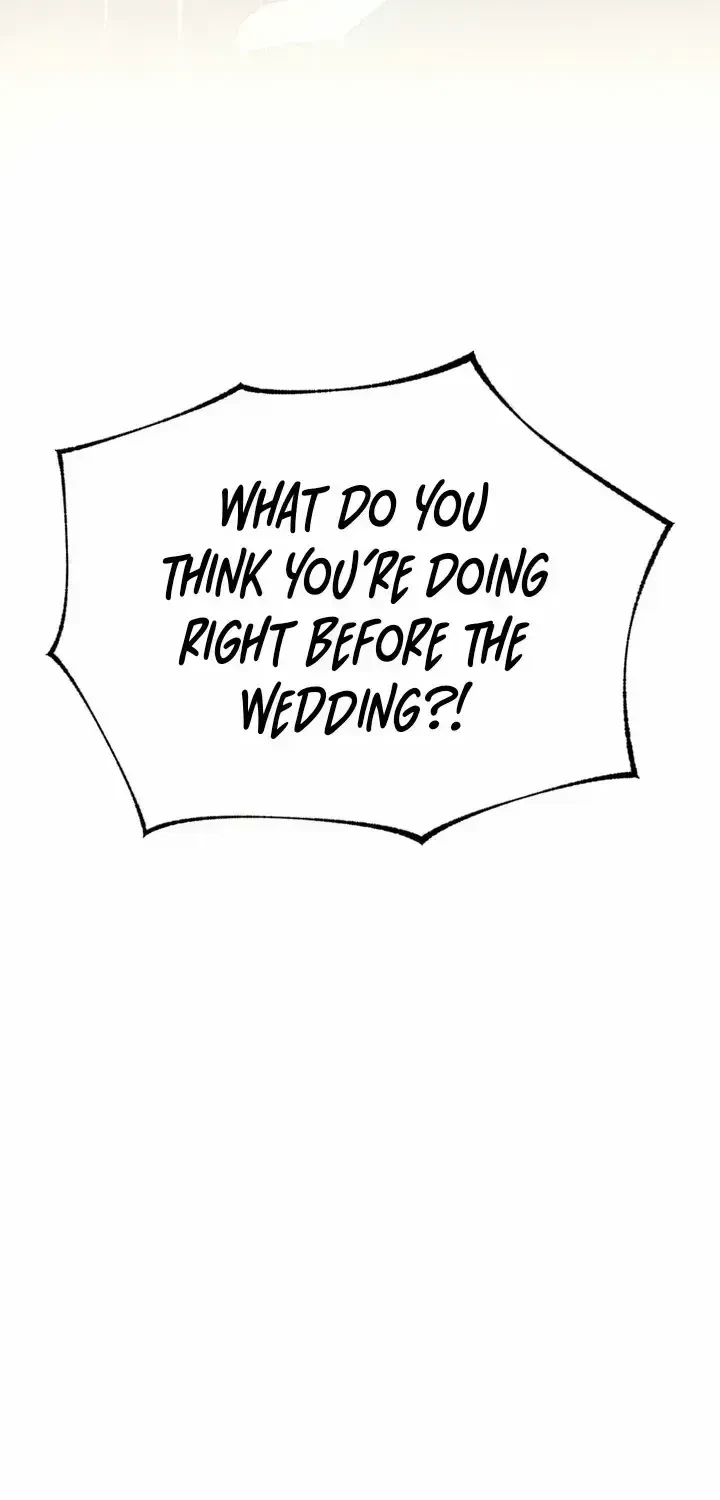 Chapter 2.5, page 83