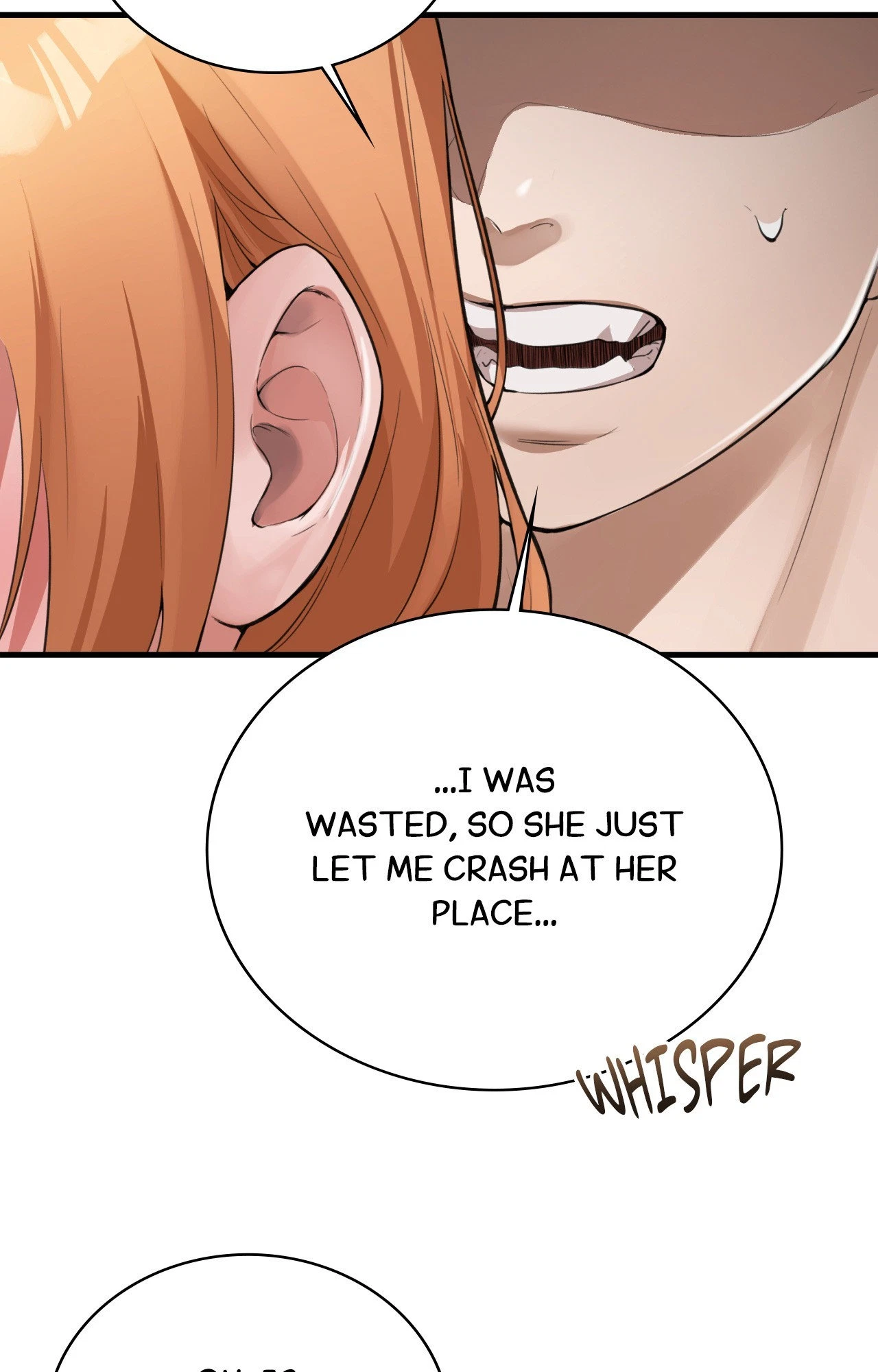 Chapter 3, page 112