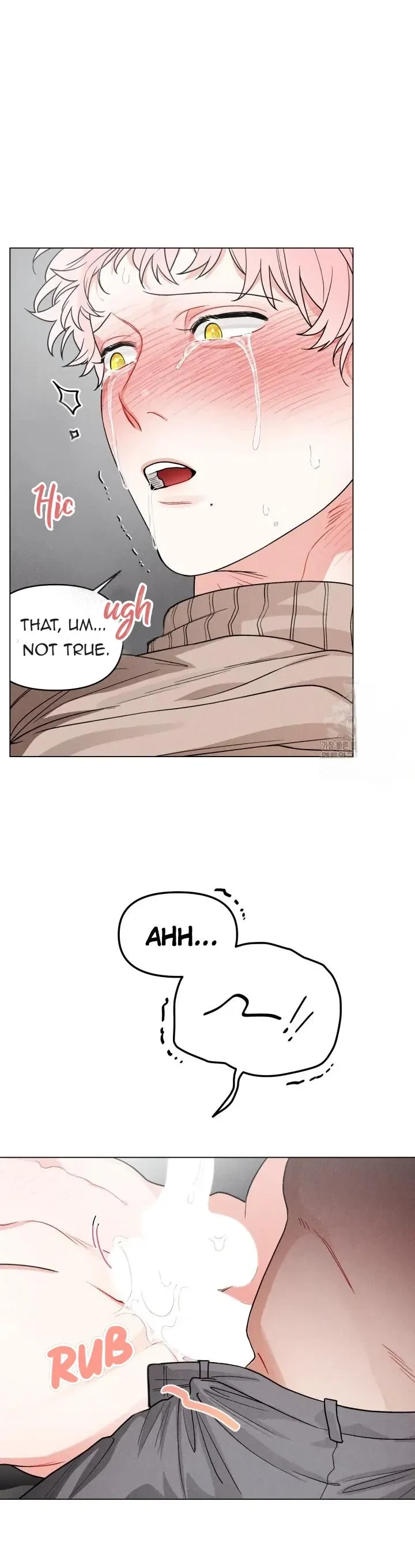 Chapter 2, page 17