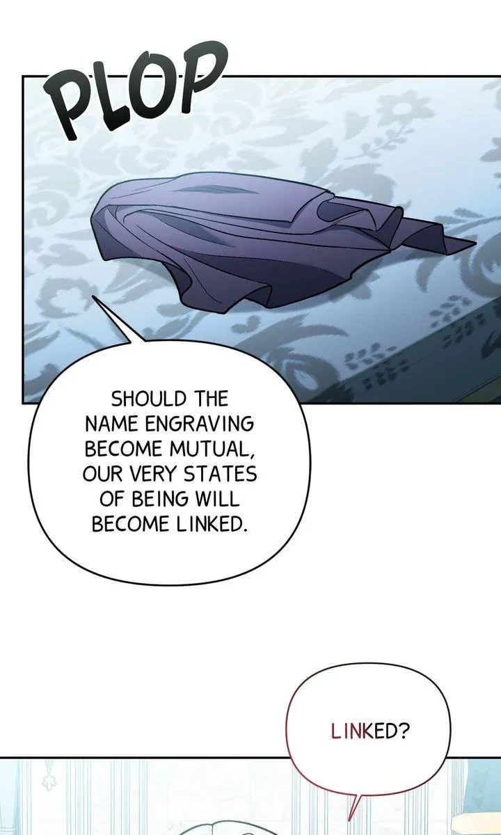 Chapter 4, page 58