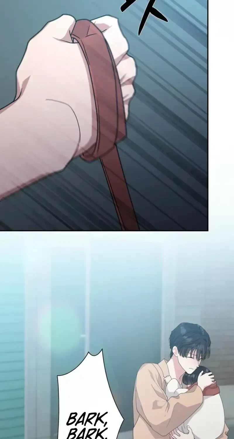 Chapter 2.3, page 22
