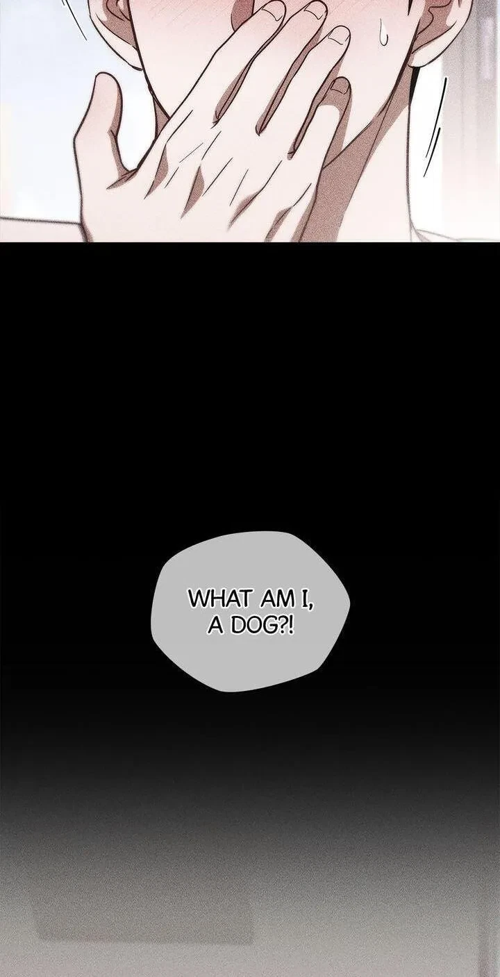 Chapter 34, page 56