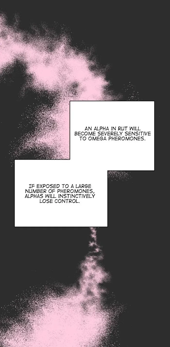 Chapter 3, page 28