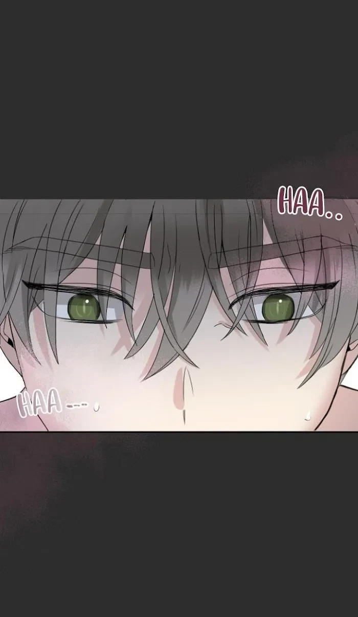 Chapter 3, page 31