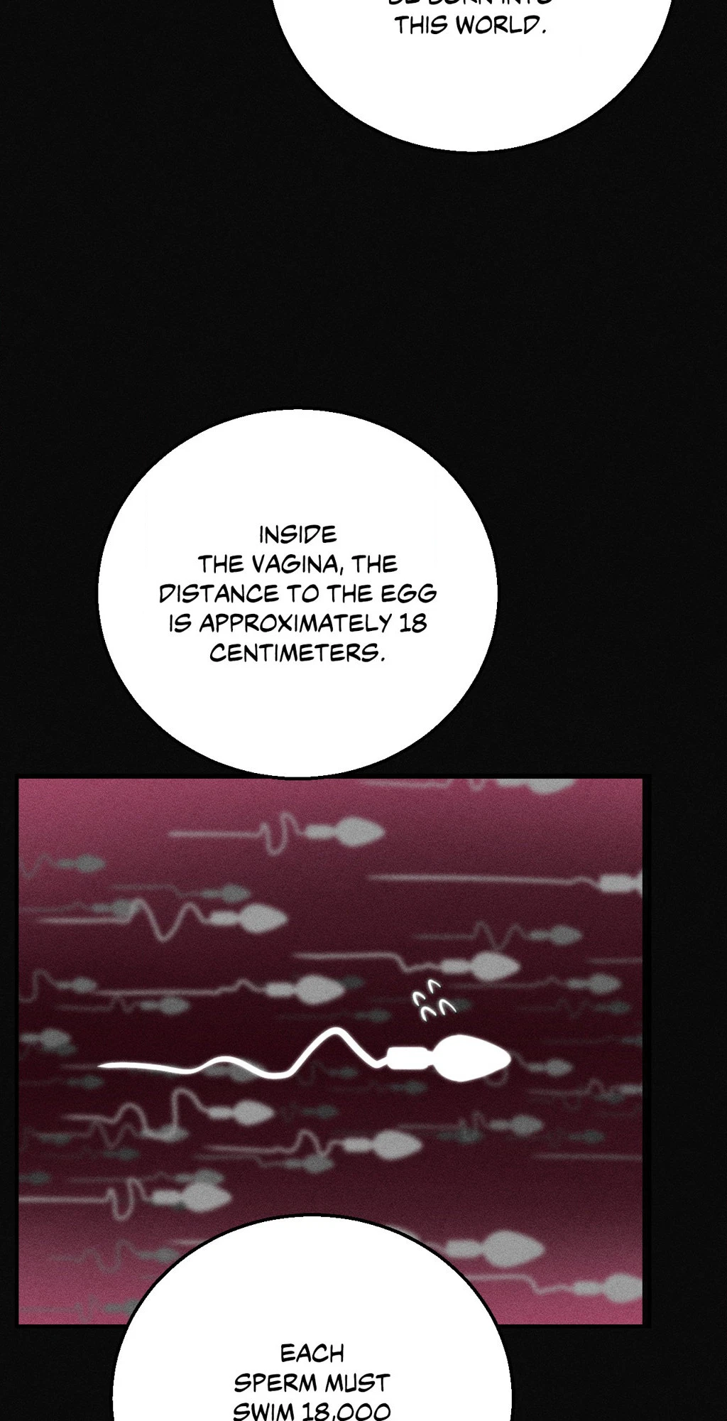 Chapter 76, page 26