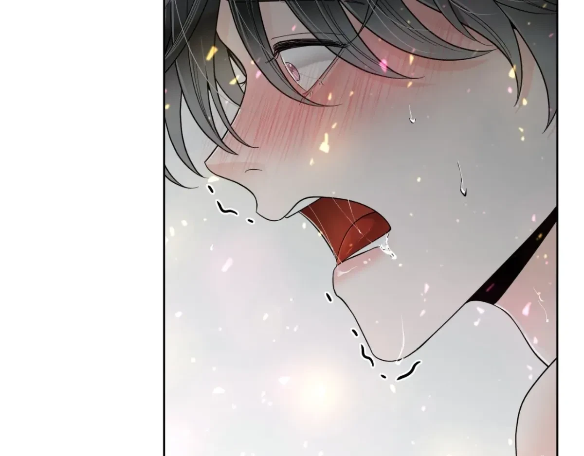 The Alpha's Mate Chapter 69, page 94