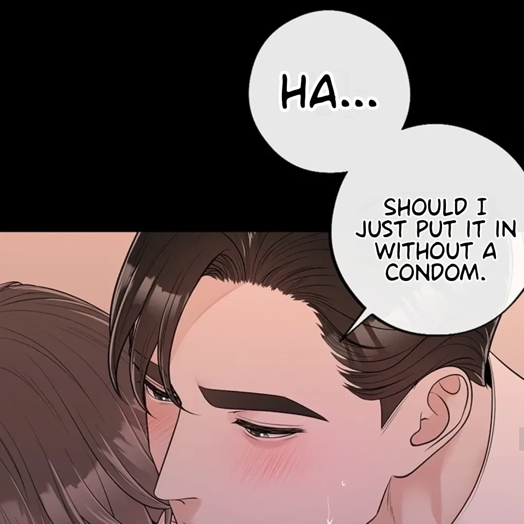 Chapter 4, page 52