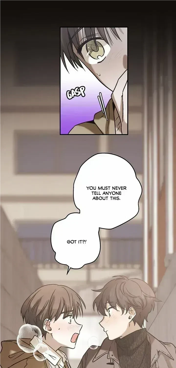 Chapter 4.7, page 38