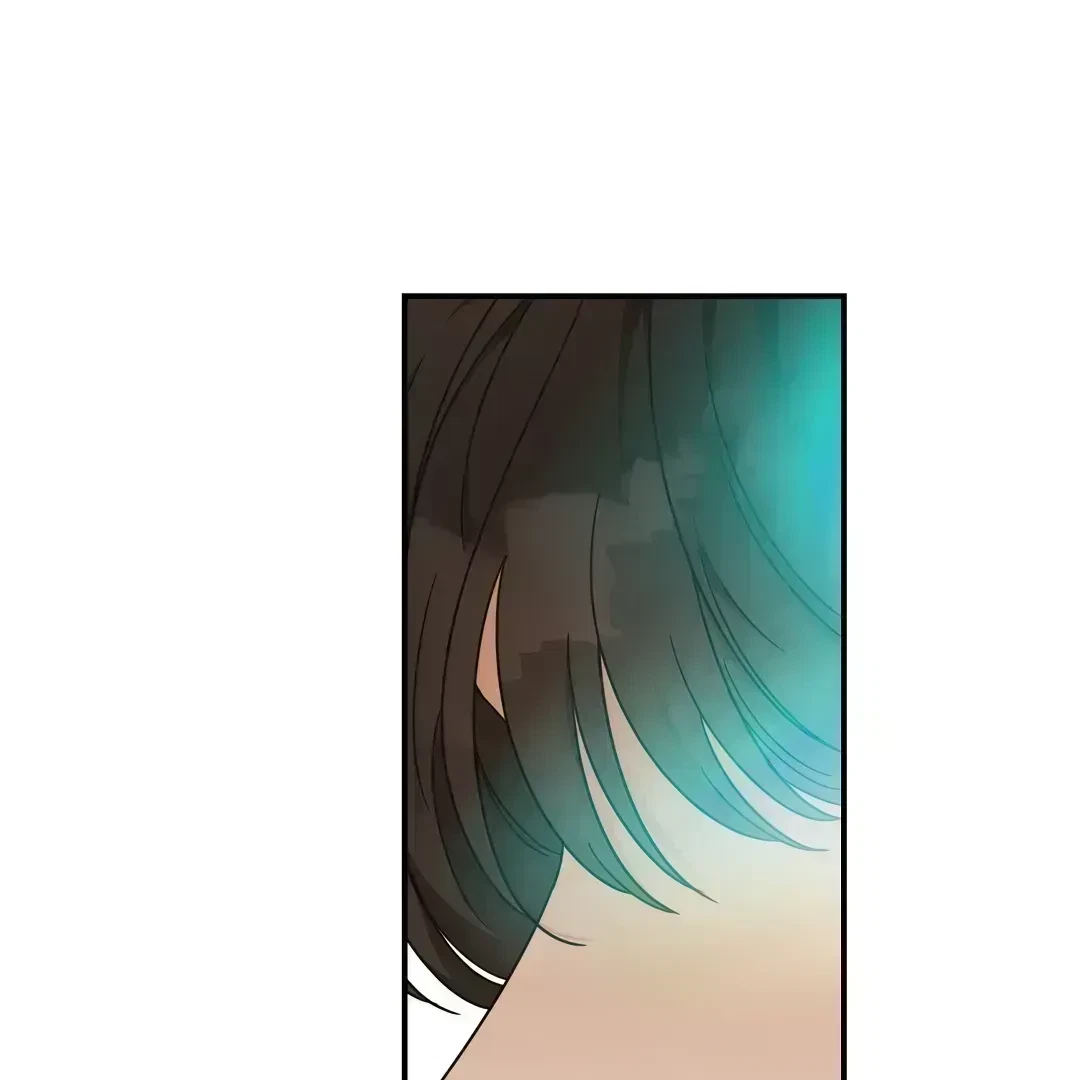 Chapter 2.5, page 107