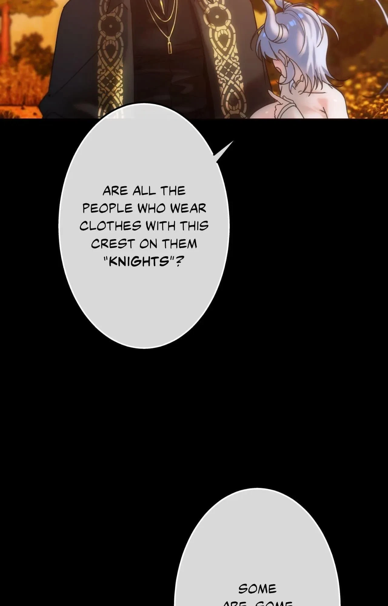 The Knight And The Witch Chapter 29, page 29