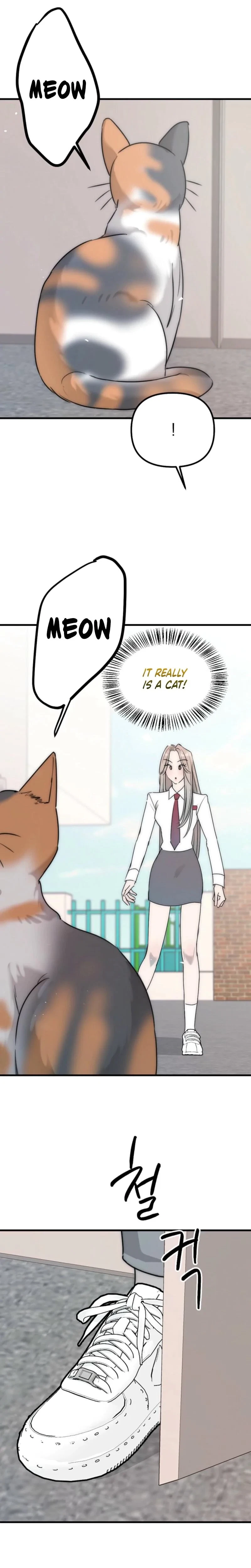 Chapter 4, page 18