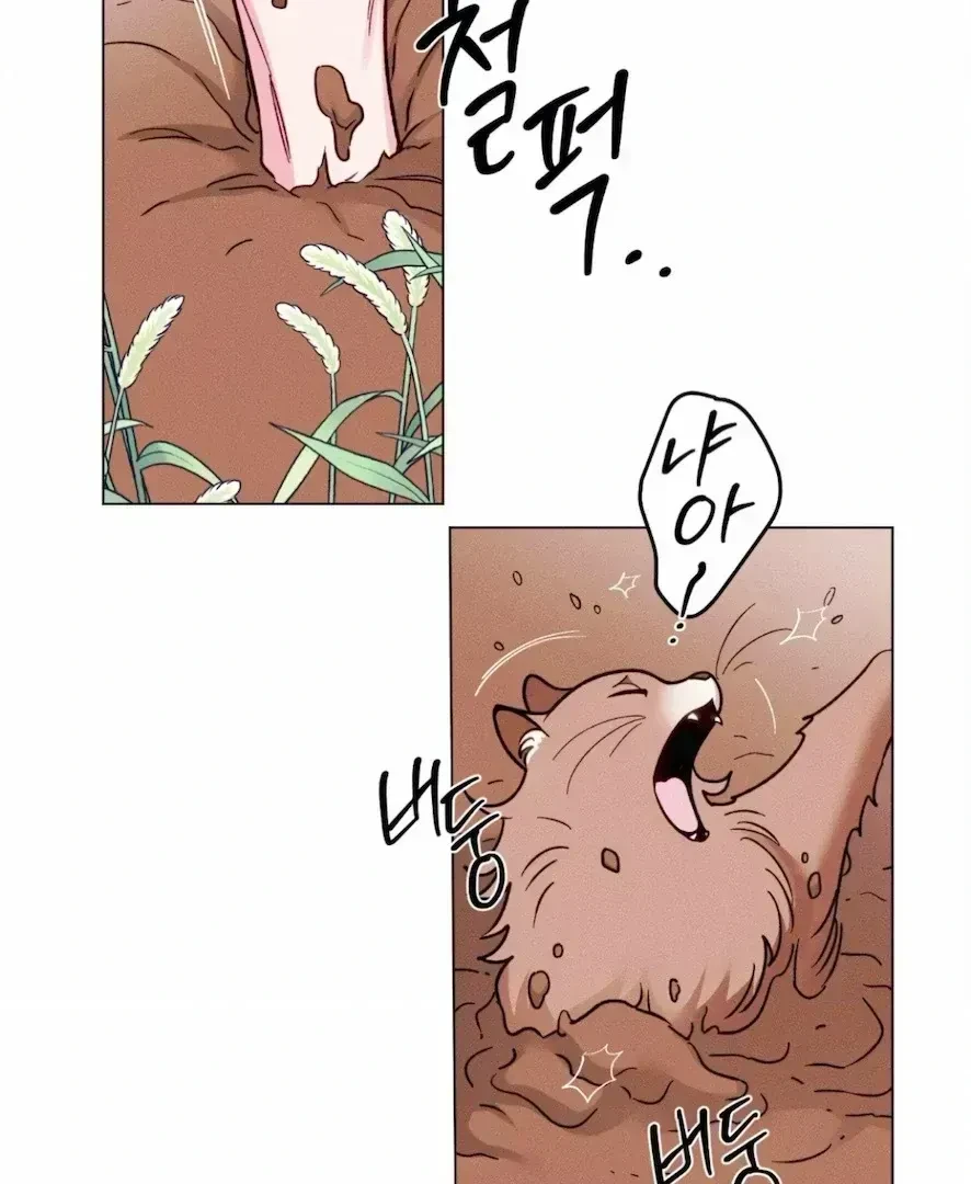 Chapter 3.9, page 84