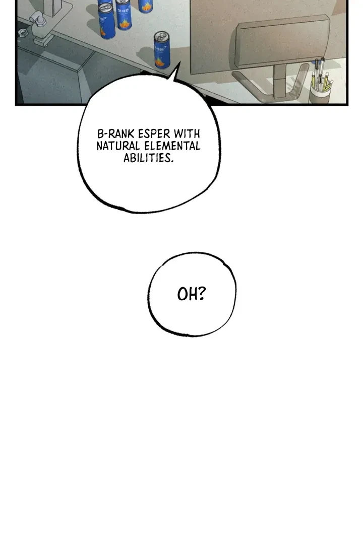 Chapter 4, page 96