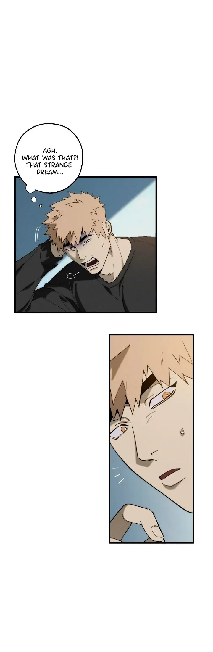 Chapter 2, page 29