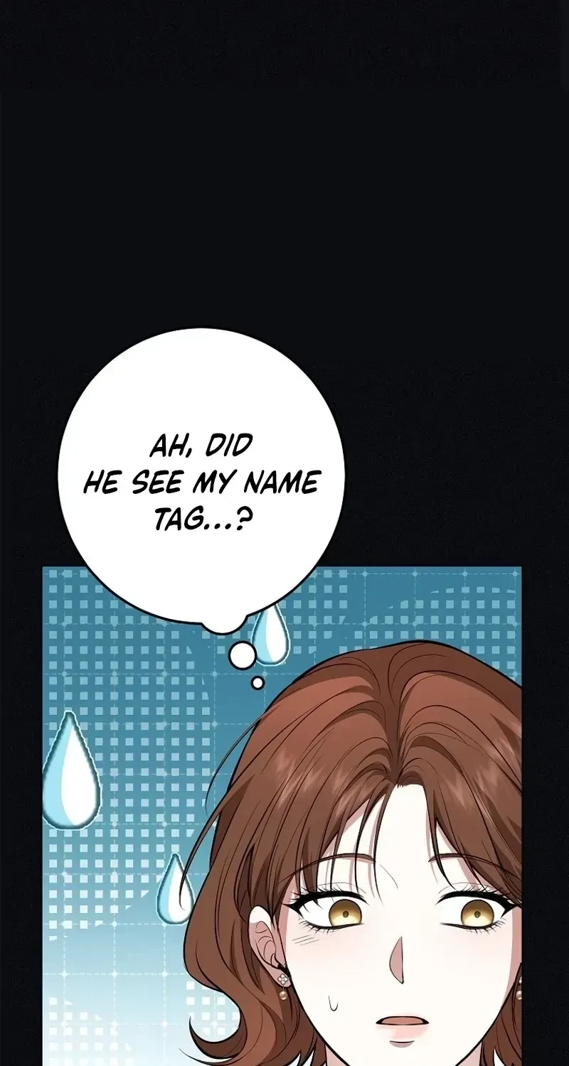 Chapter 6, page 88