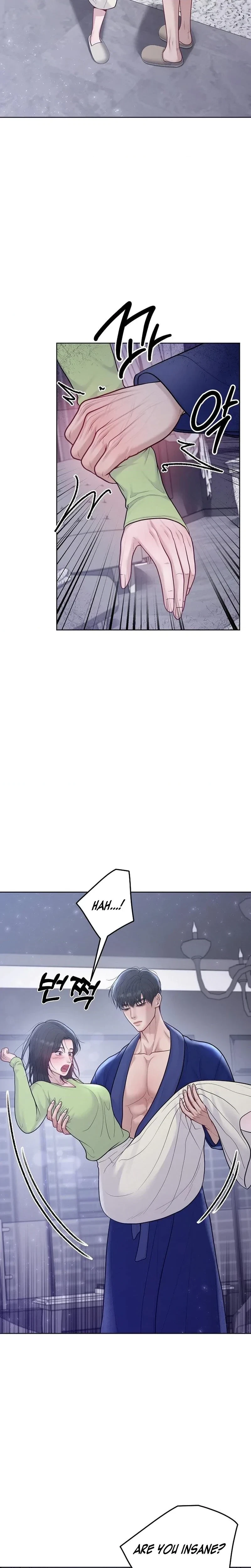 Pregnacy, Plunder Chapter 8, page 2