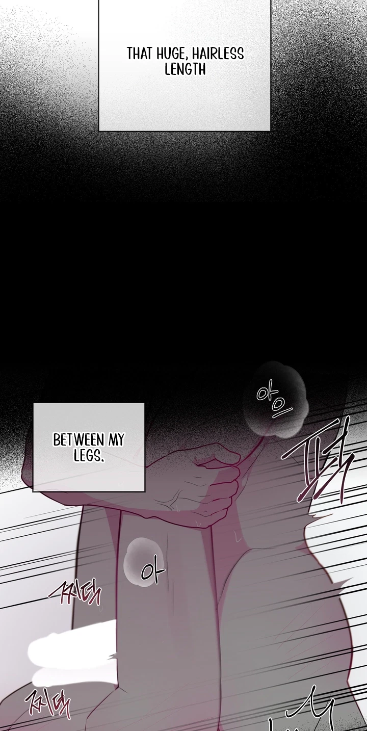 Chapter 50, page 19