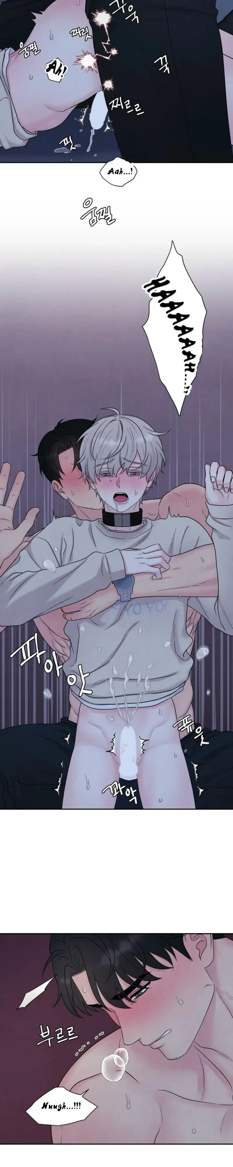 Chapter 77, page 19