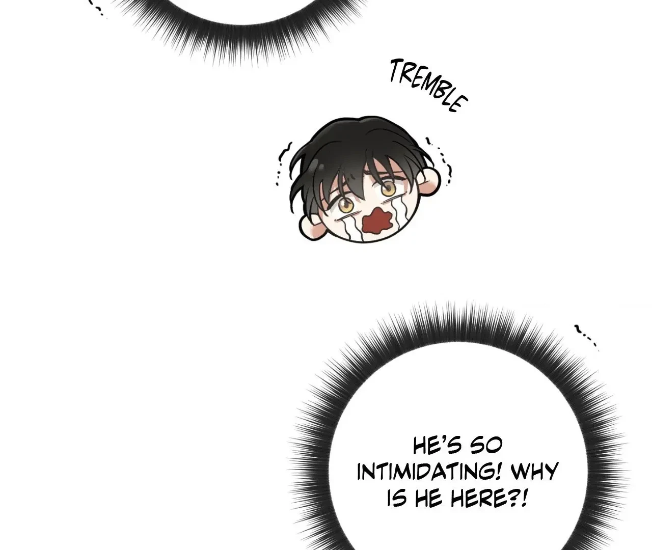 Chapter 4, page 71
