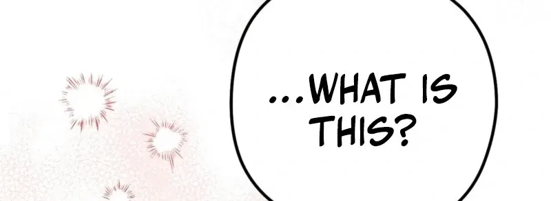 Chapter 2, page 17