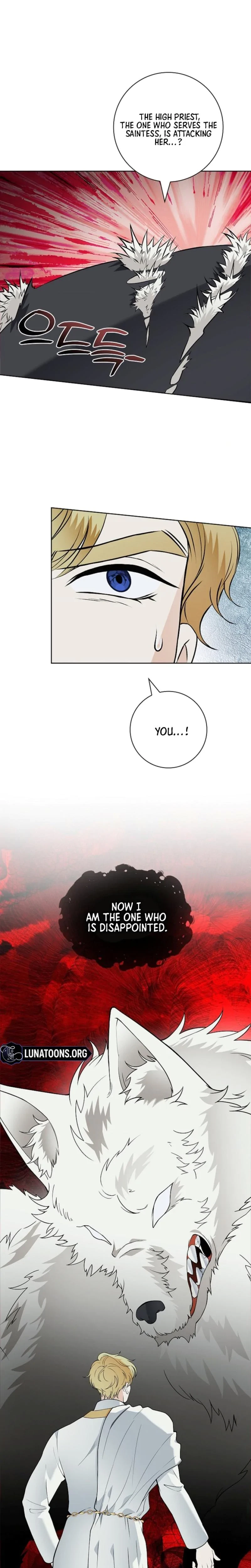 The Saintess's' Petals Are Drenched Chapter 15, page 14