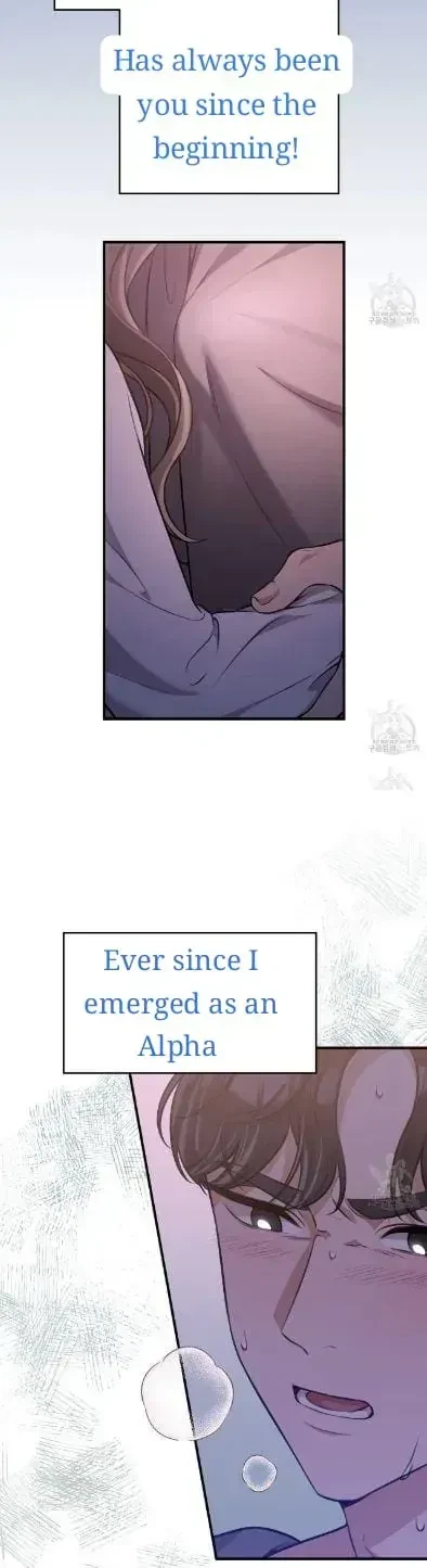 Bride For The Taking Chapter 1.1, page 15
