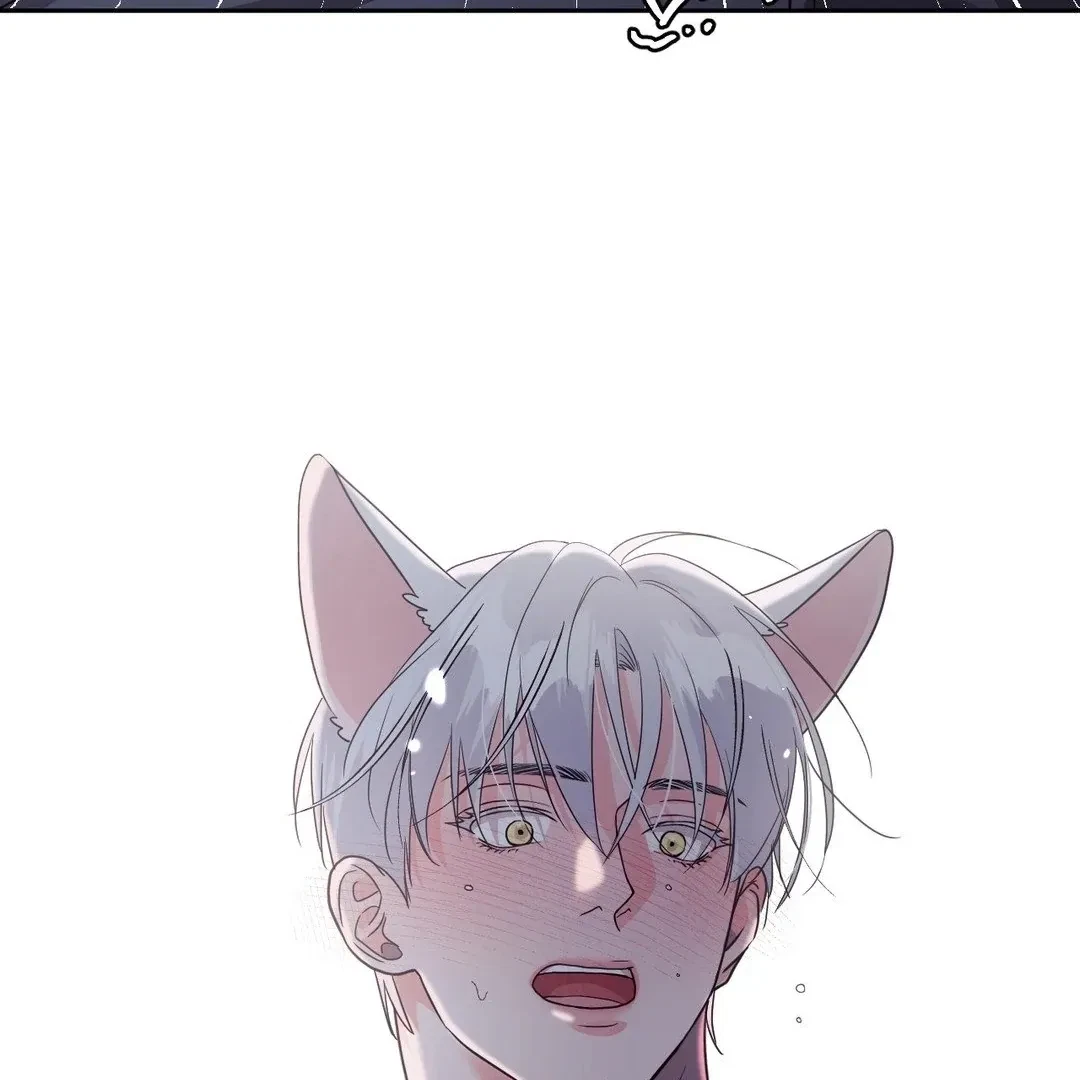 Chapter 13, page 108