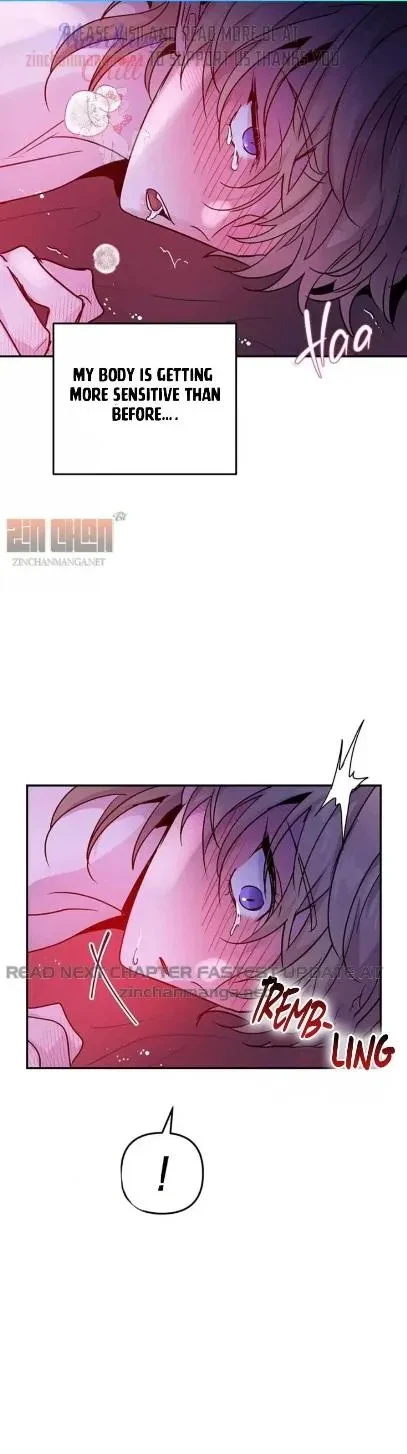 Chapter 19.2, page 2