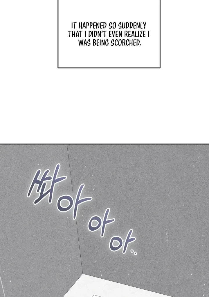 Chapter 2, page 81