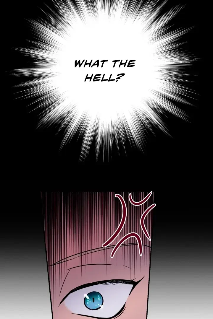 Chapter 1, page 13