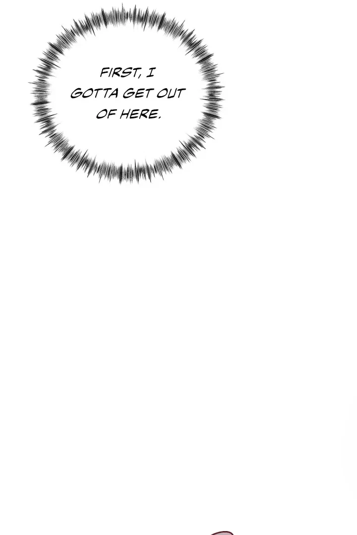 Chapter 1, page 27