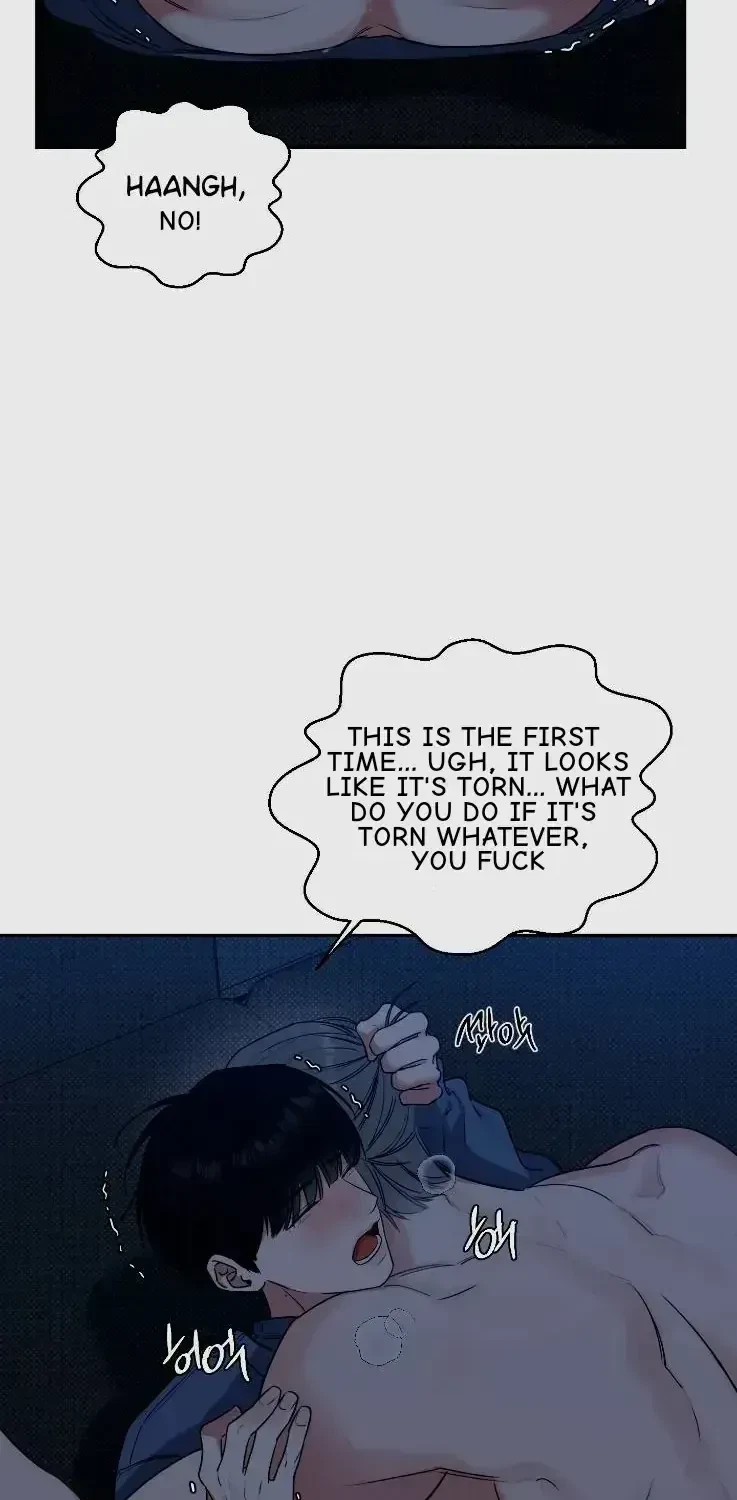 Chapter 2.3, page 52