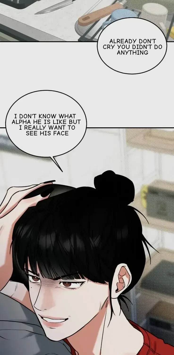 Chapter 2.3, page 98