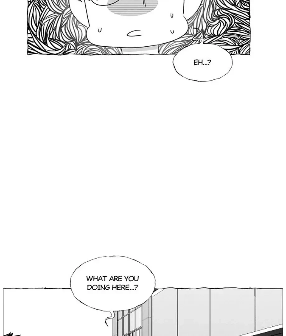 Chapter 40, page 65