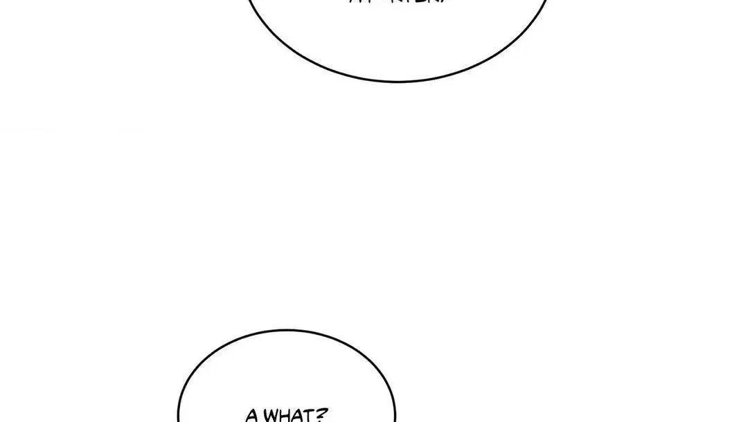 Chapter 3.1, page 78