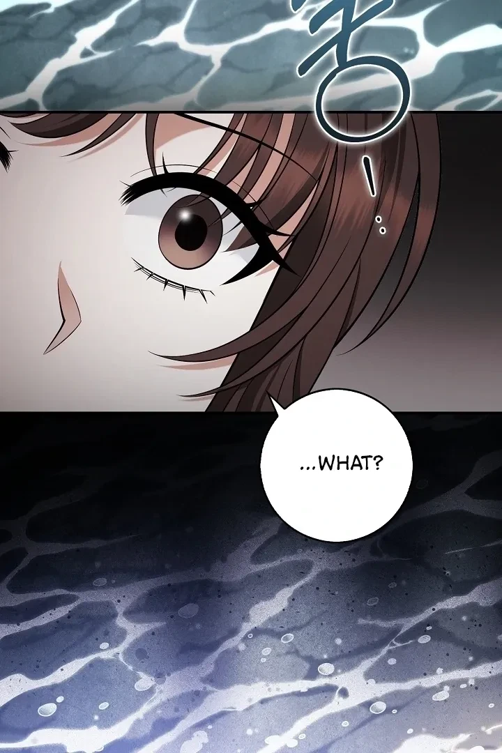 Chapter 17, page 114
