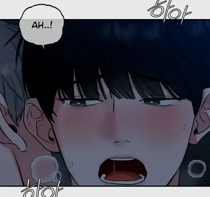 Chapter 2.6, page 60