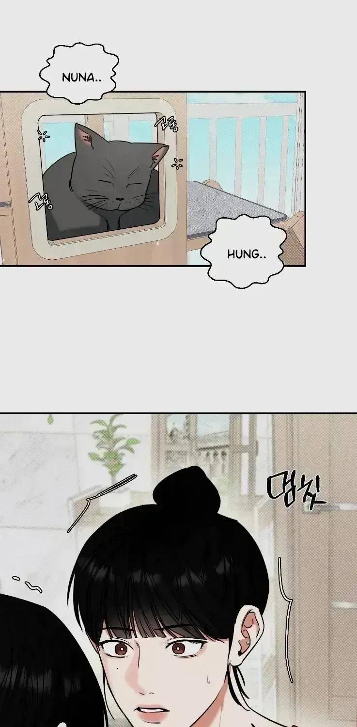Chapter 2.6, page 93