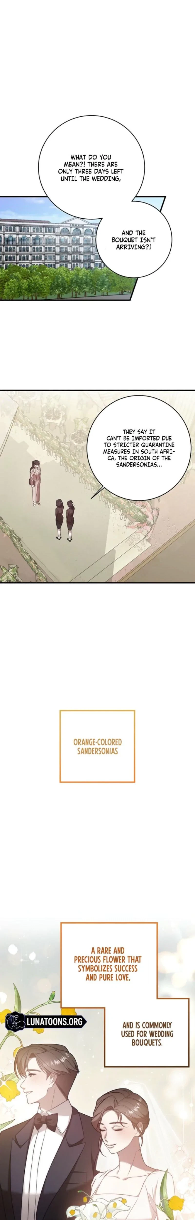 Chapter 15, page 10