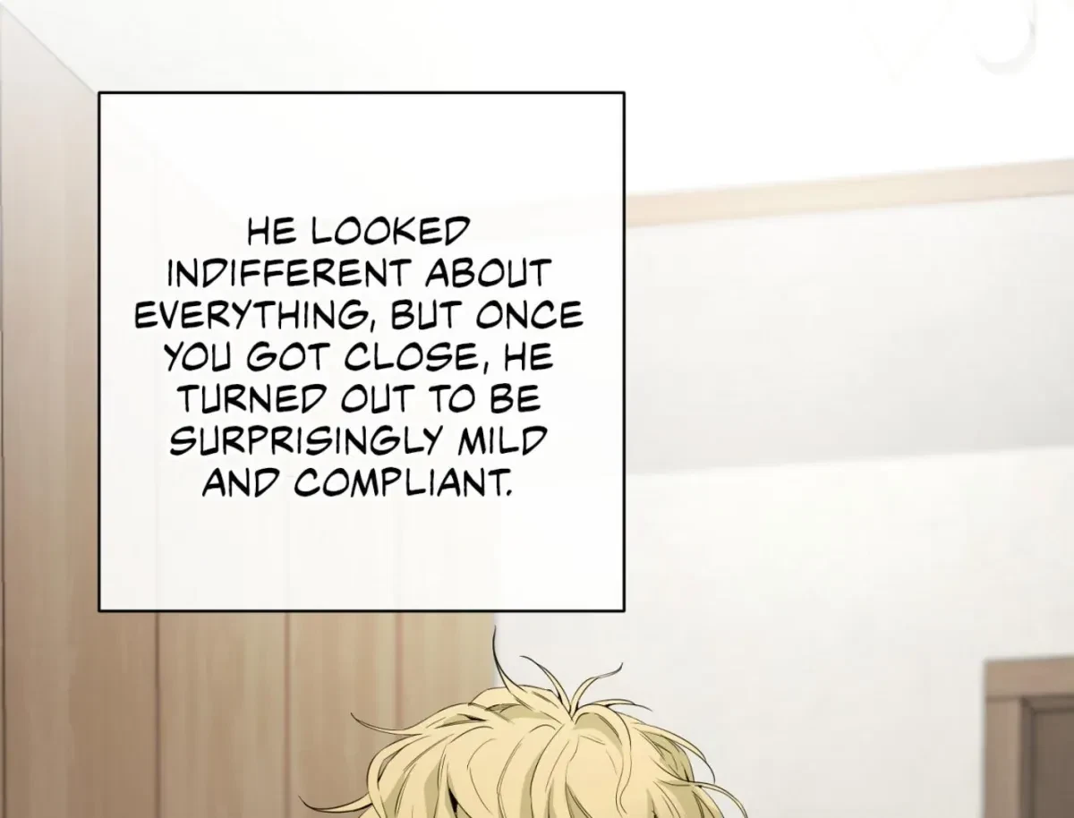 Chapter 9, page 211